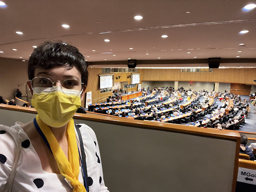 Advocating for climate justice during VNRs 11 July 2022
