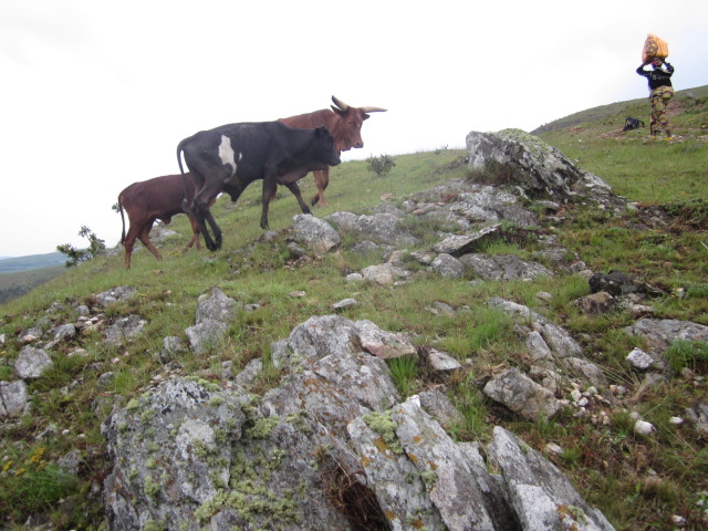 La beaute de la RD Congo