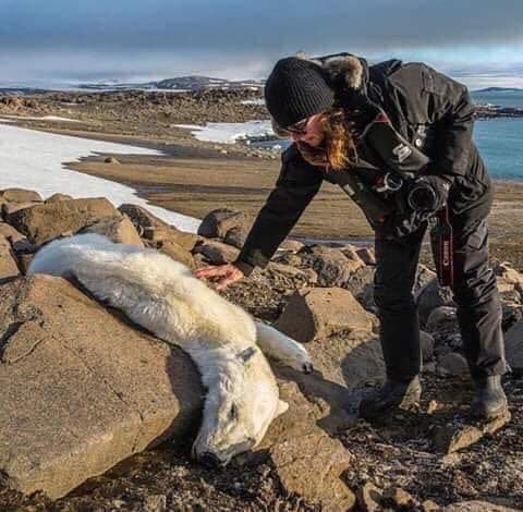 The world is hurting, our water is hurting; our polar bears and wild-life, and ocean life is dying. Please wake up and help us end the abuses of man.