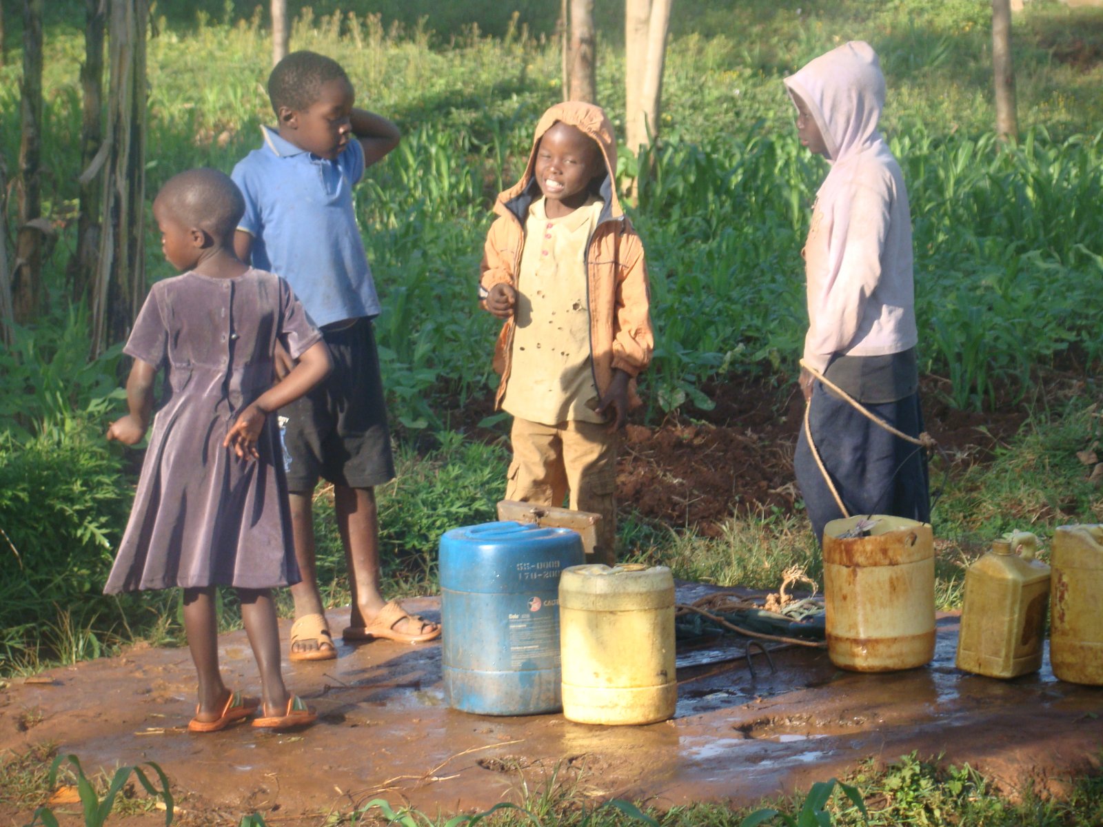 Children fetching water at a community borehole in Gamoi Village, Vihiga County.