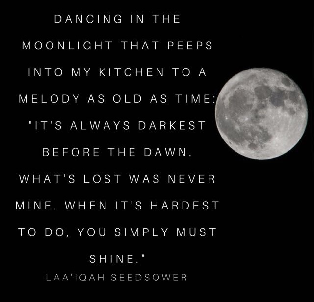 SeedSower ramble
