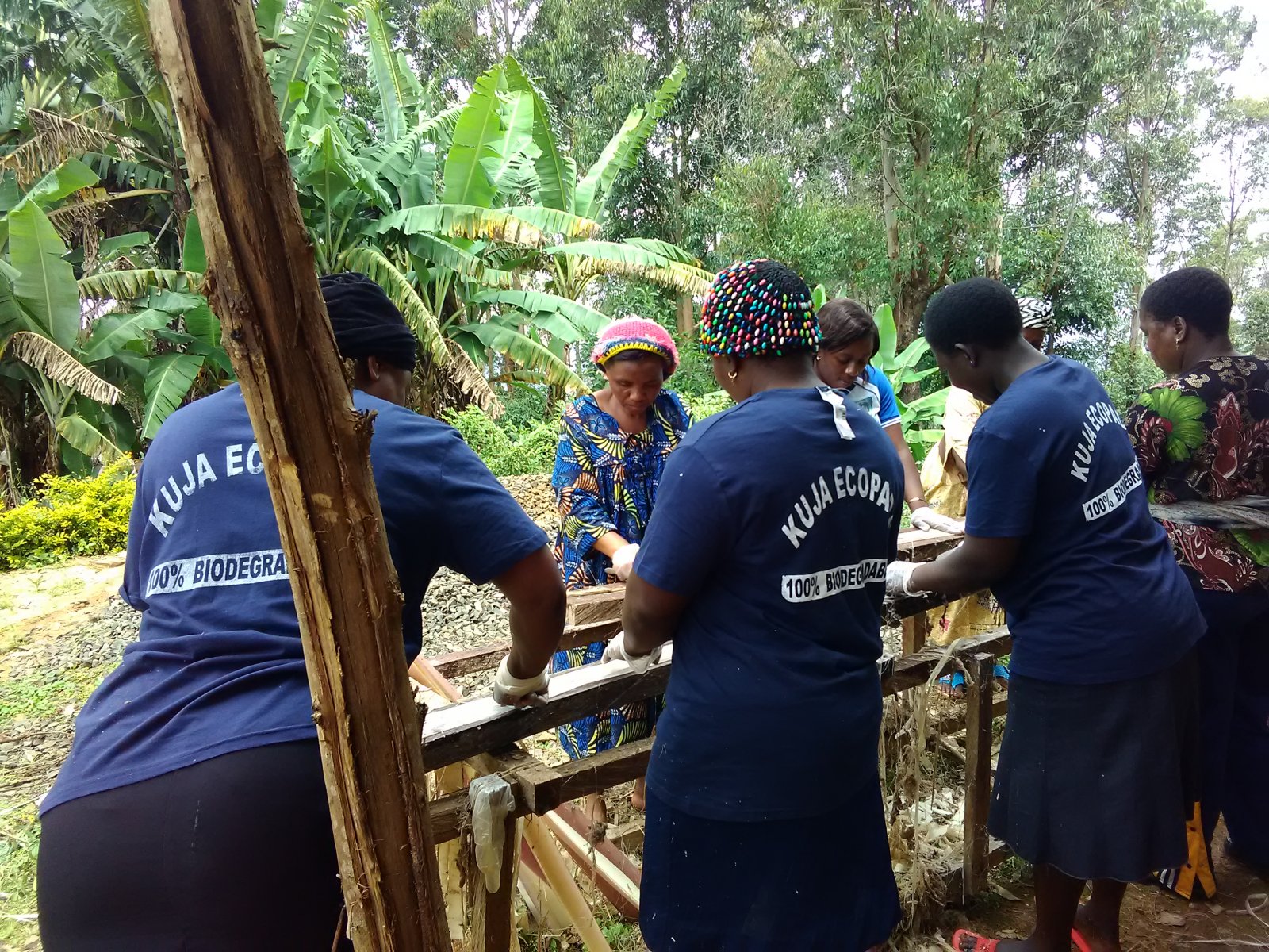 Kuja women extracting fibers from banana stems