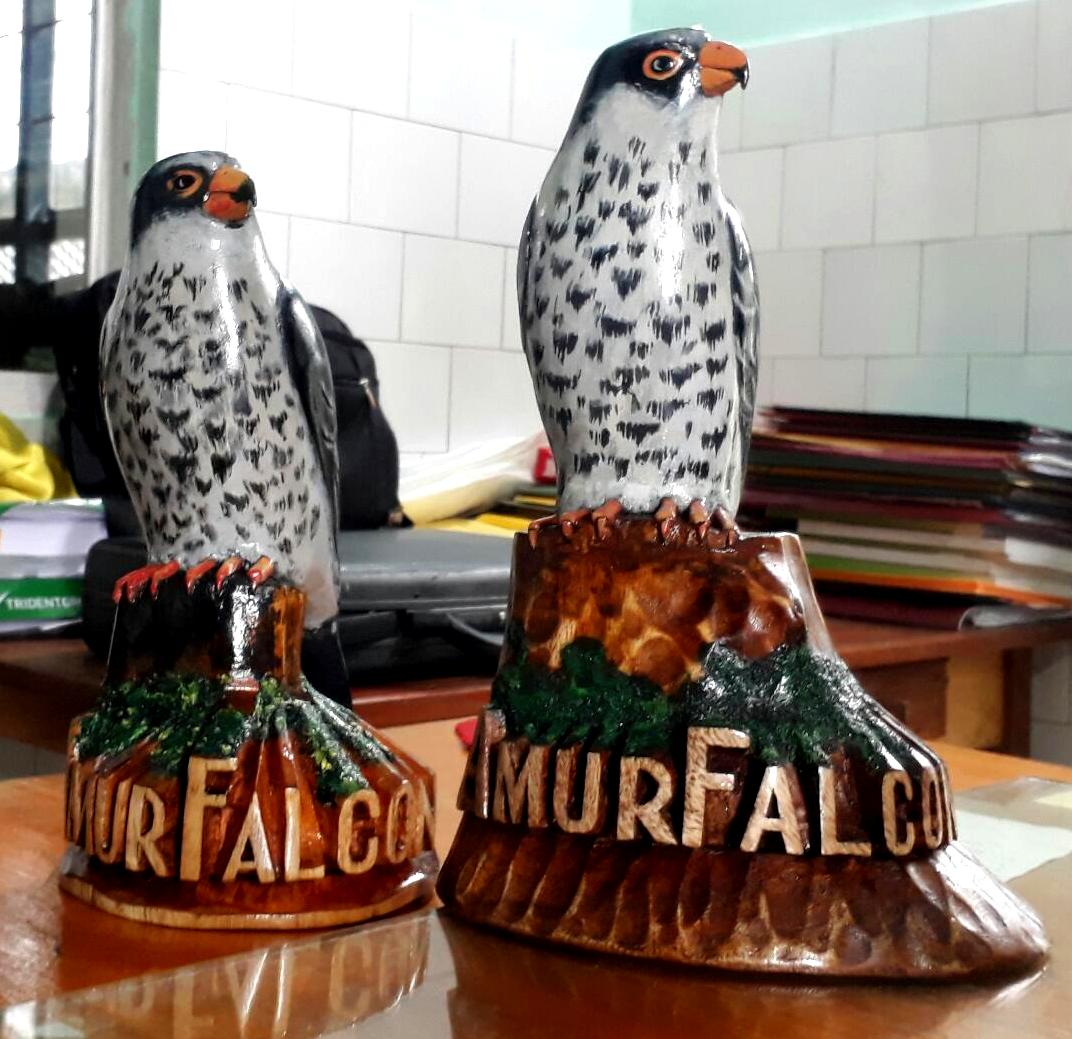 Local artists carve Amur falcons out of wood