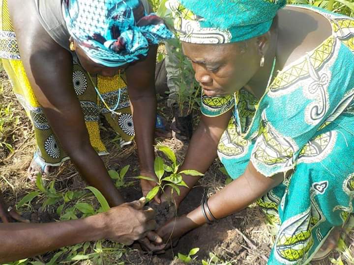 Women in Environmental Sustainability
