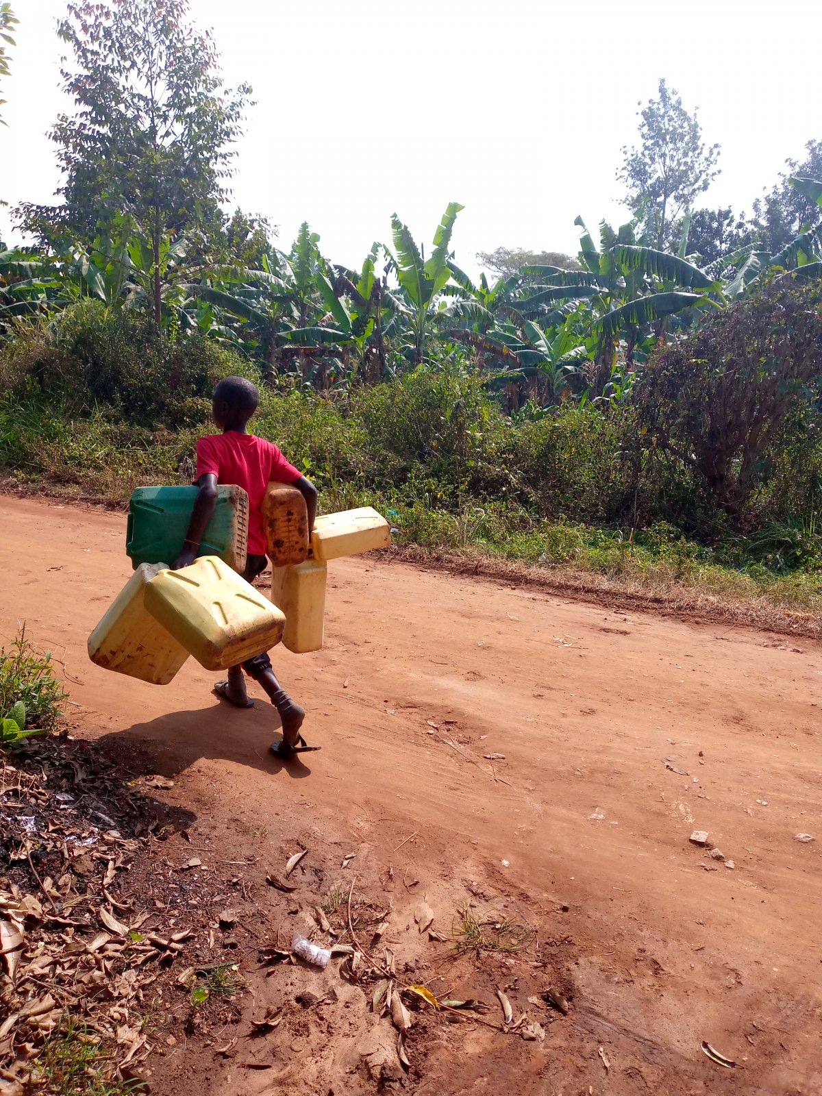 Young boy carrying 6 water cans to ferry water for home use!