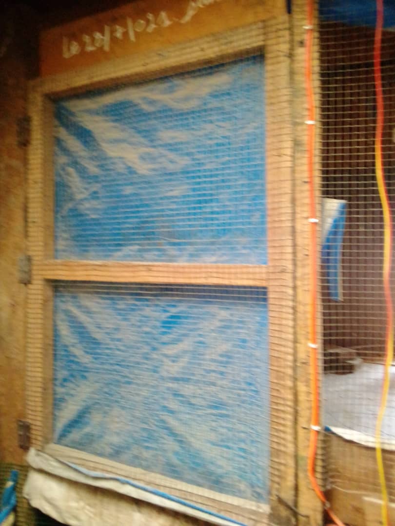 my breeding project at the start-up phase my chicken today that I am asking for support to finish it